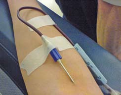 Blood Donor