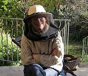 Bees 4056_small